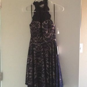 NWT navy blue lace dress with pale pink liner